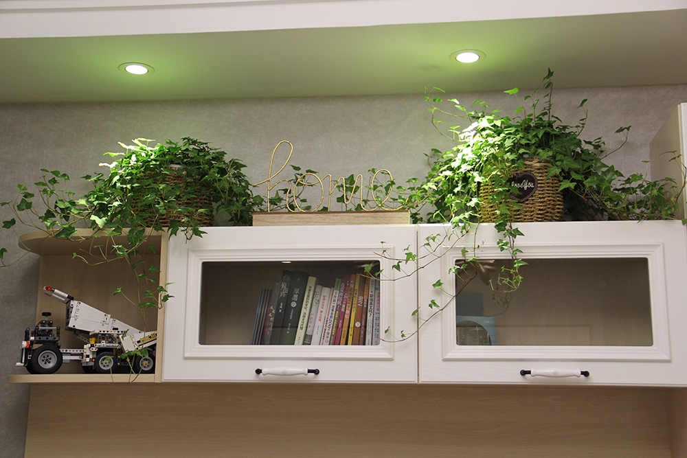 顶柜用来放一些小物件和装饰盆栽,增添情趣.