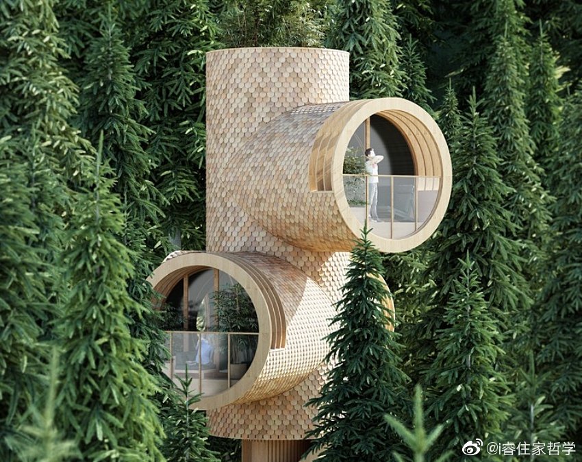 此栋隐匿于林野中的圆管树屋是奥地利建筑事务所precht