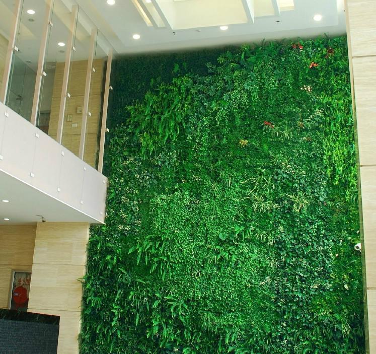 植物 墙体 装修