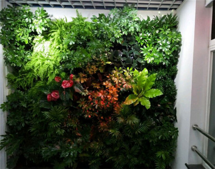 植物 选择 装修