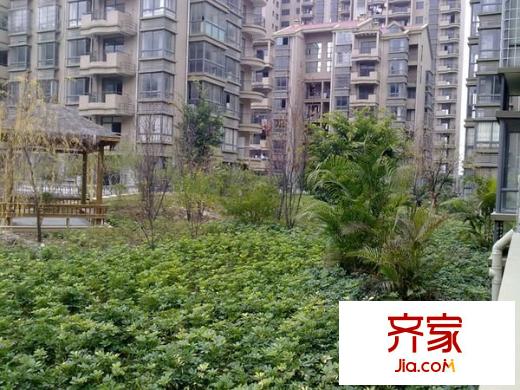 金桥花园牡丹苑外景图