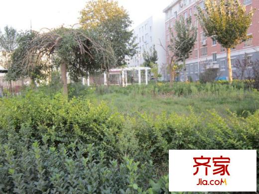 海化阳光花园外景图 外景