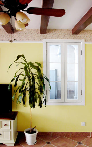 一居室小户型装修绿植图片
