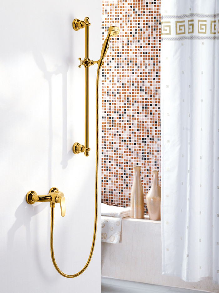 丰华 铜可旋转带升降单把双控单花洒龙头 花洒