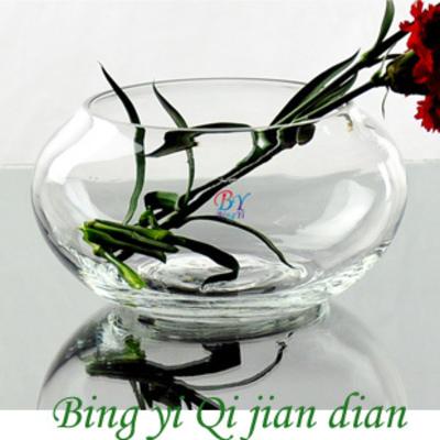 Bing Yi 透明玻璃北欧/宜家 花盆