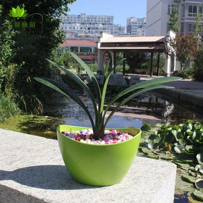 Cgooa1Wo6ASWIZA3AAN_r52mDFw369!400x400.jpg