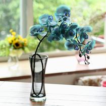 玻璃台面花瓶中号欧式 BX23013-403花器