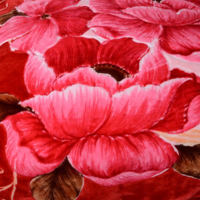 莎克丝 2%-3%拉舍尔毛毯一等品冬季植物花卉简约现代 毛毯