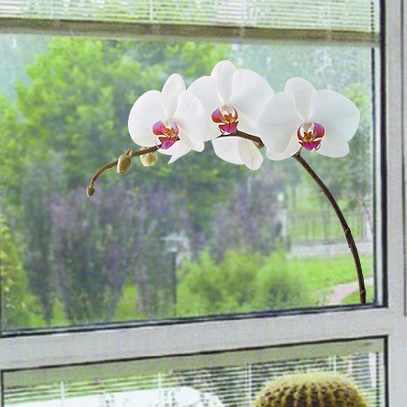 新贸 植物花卉 窗贴-蝴蝶兰玻璃贴膜
