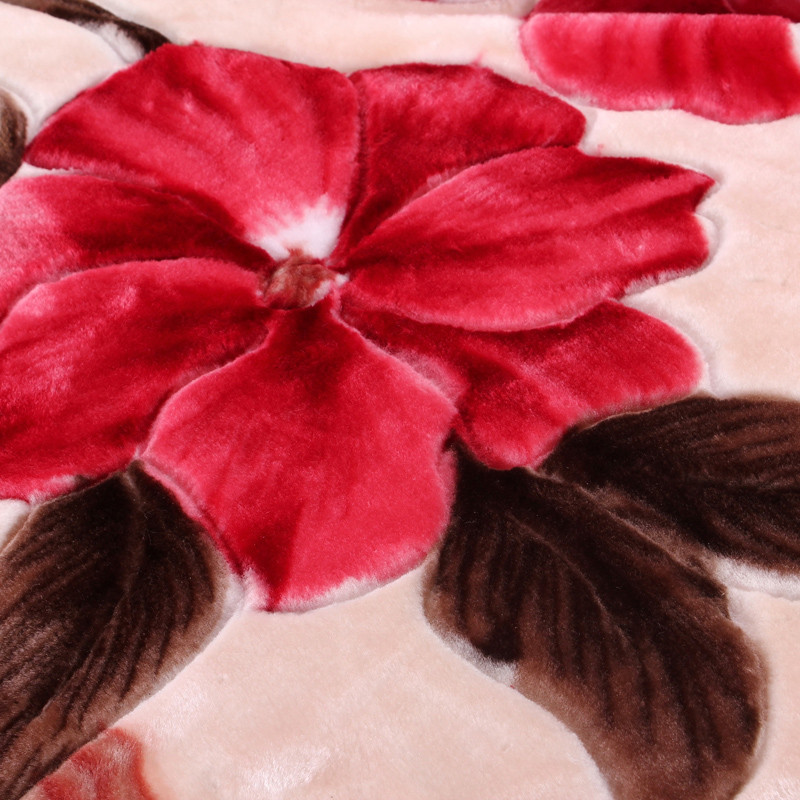 乐加 拉舍尔毛毯一等品LH31200312冬季植物花卉简约现代 毛毯