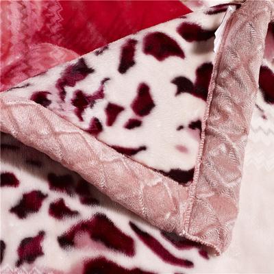 兴润 2%-3%拉舍尔BC16202102毛毯一等品冬季植物花卉简约现代 毛毯