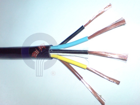 创兴 创兴 RVV 2.5电线电缆护套线