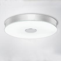 磨砂玻璃铝简约现代喷漆磨砂圆形节能灯LED 吸顶灯