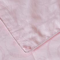 桑蚕丝绗缝空调被/夏凉被提花普通全棉优等品 被子