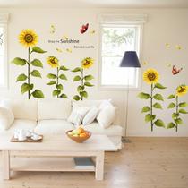 平面葵香墙贴植物花卉 墙贴