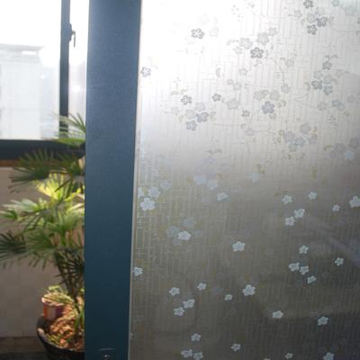 奥迪拉 植物花卉 60-0玻璃贴膜