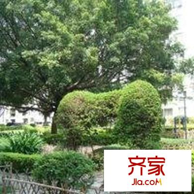 梅兴苑外景图小区相关图_4