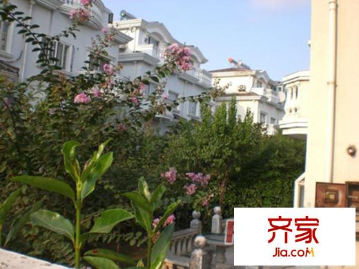 经典花园外景图上海