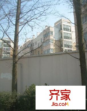 金庭茗苑外景图