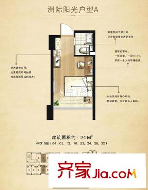 迪赛明天广场户型图4#315层A户型 1室1厅1卫1厨