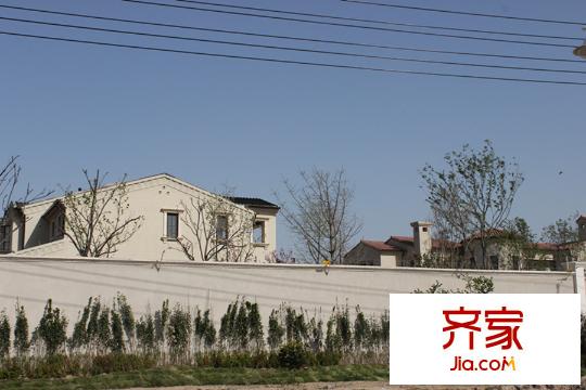 绿城雁鸣湖玫瑰园