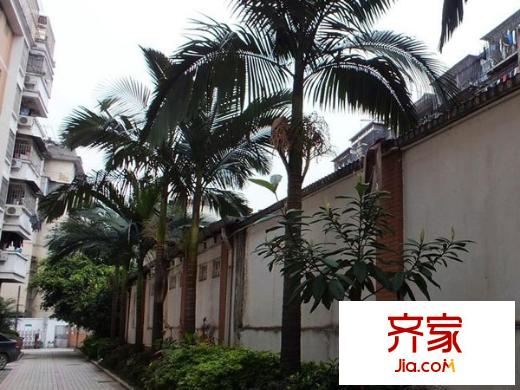 福田宜家外景图