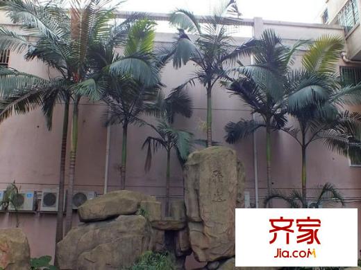 阳光水岸外景图