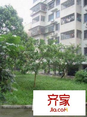 公交大修厂单位宿舍外景图