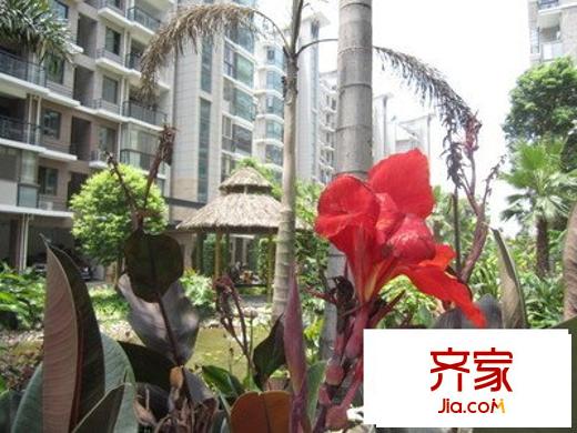 北尚新宿A区外景图