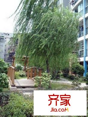 广厦中北领秀外景图