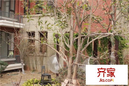联投金色港湾小区内绿化(2015.3.14)