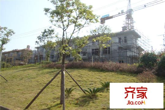 世茂龙湾施工进度(20141103)