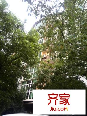 东方恒星园外景图