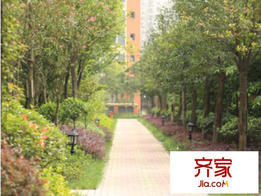 温哥华南苑绿化2013-10
