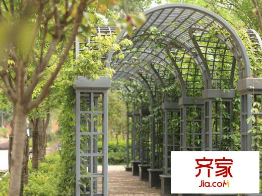 温哥华南苑小区2013-10
