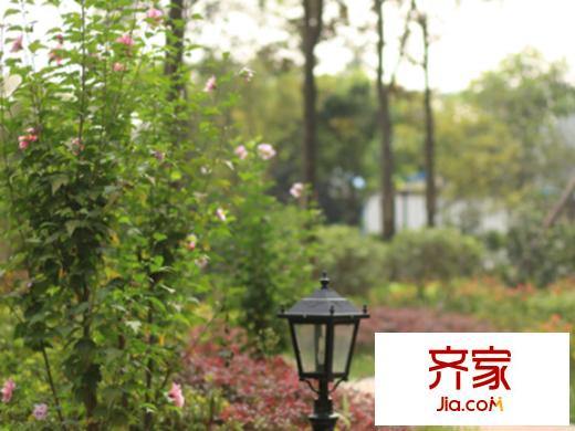 温哥华南苑小区2013-10
