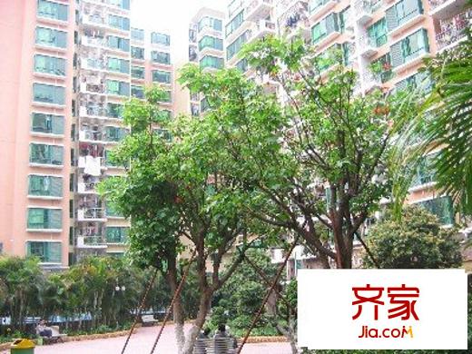 荔园阁外景图 小区园景