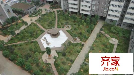 未来蜂巢