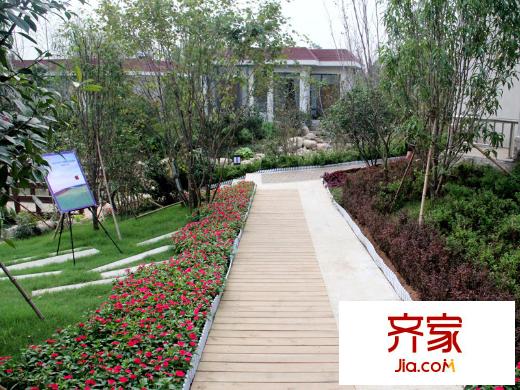 鲁能海蓝金岸社区绿化(2014-07-06)