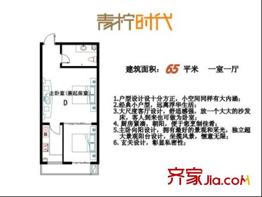 青柠时代户型图一室一厅 1室1厅1卫