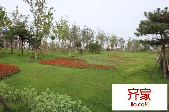 朝阳首府・御园园林景观实景(2014-08)