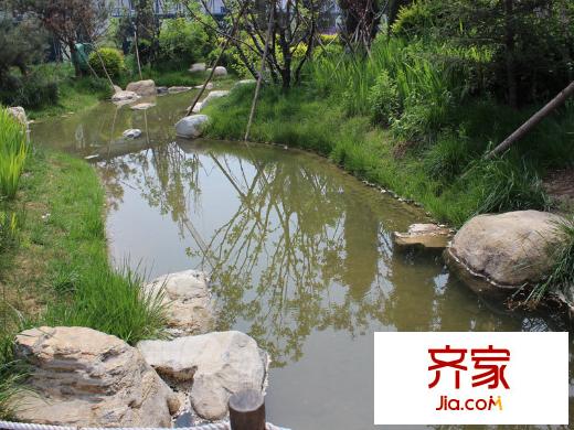 湿地华城景观(2014.04)