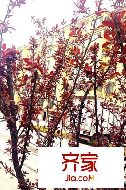 富郦城一期小区(2015.5.4)