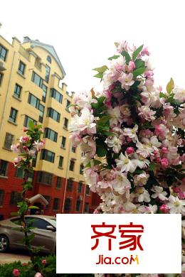 富郦城一期小区(2015.5.4)