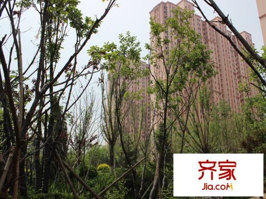 湿地华城景观(2014.04)