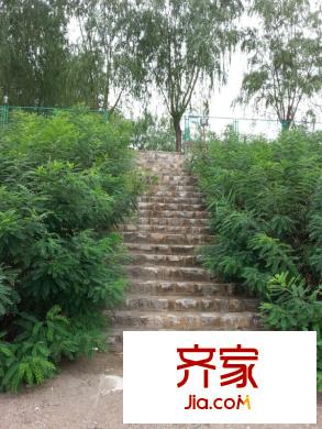 水郡花都小区(2014.08.05)