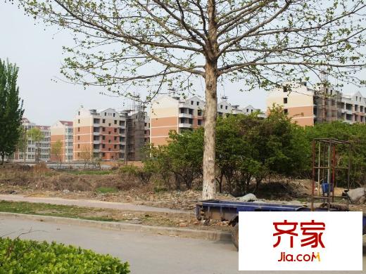 青青花园小区(2013.04)