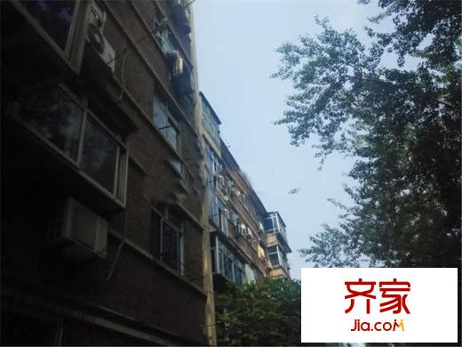 向阳厂北院外景图向阳北院外景1