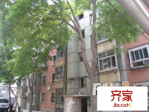 政府四号区外景图2