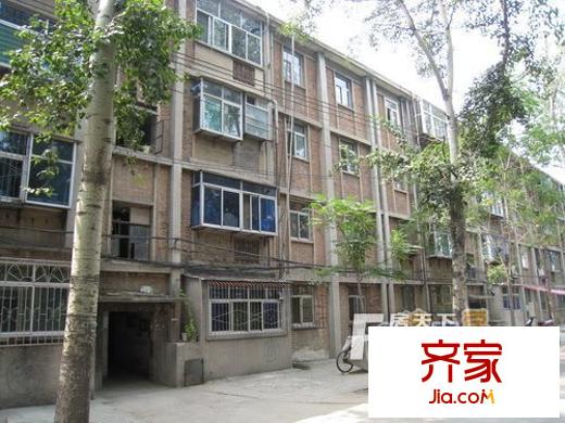 政府四号区外景图3